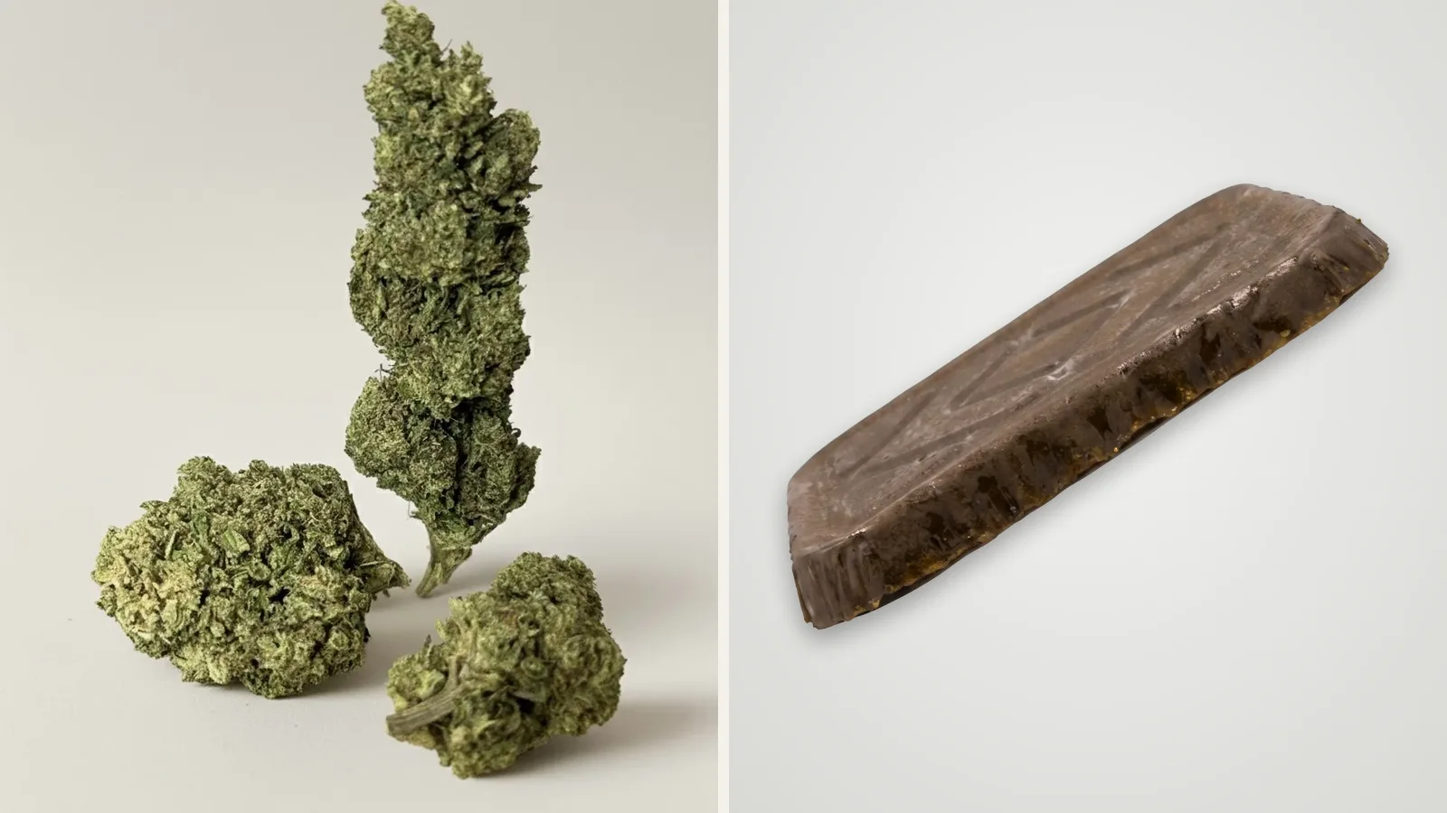 Fleurs de CBD Amnesia sur fond clair à côté d'une plaquette de résine de CBD filtrée, vues côte à côte
