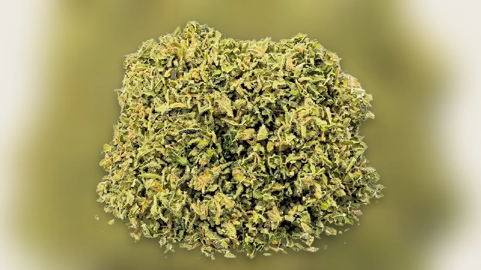 Tas de Trim Premium, petites sommités de CBD vert clair issues de la manucure, sur un fond flouté
