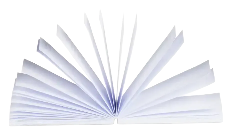 Filtres carton Beuz Slim Tips 21 mm perforés, 50 filtres vue 2