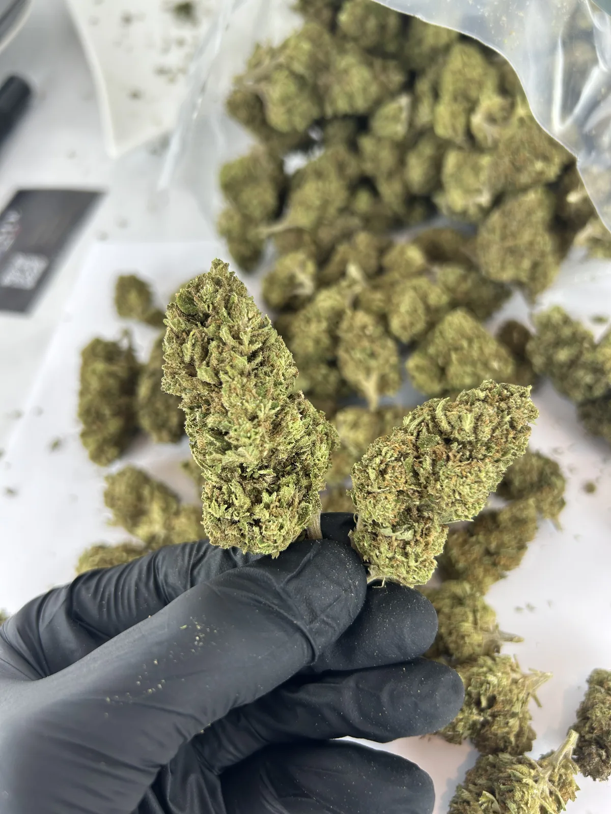 Fleur CBD AK-47 vue 2