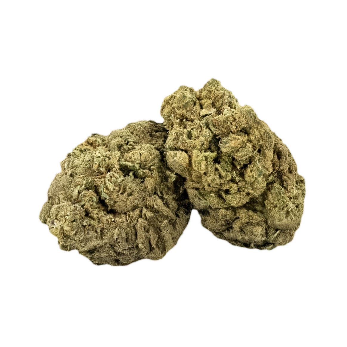 Amnesia Haze Indoor vue 2