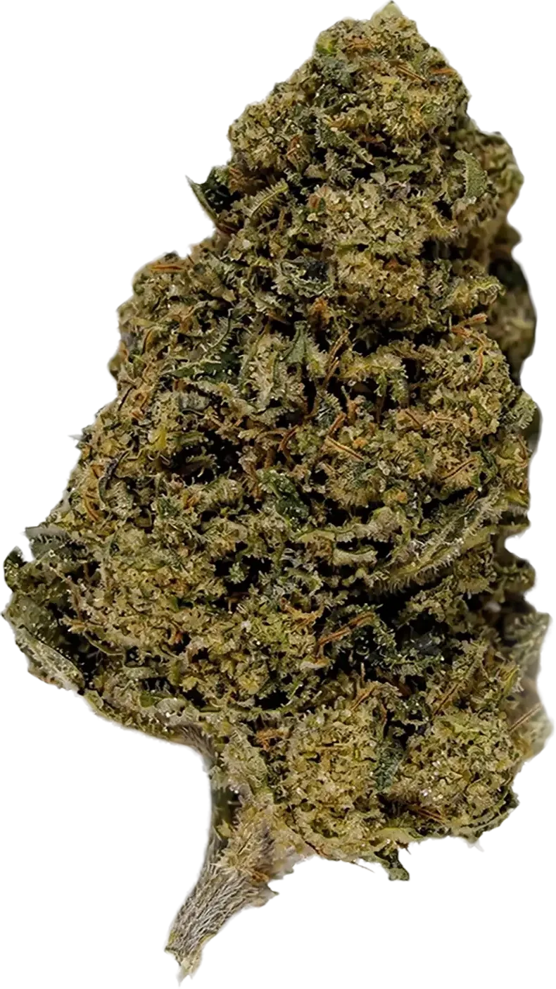 Fleur CBD Amnesia