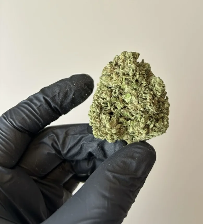 Fleur CBD Amnesia vue 4