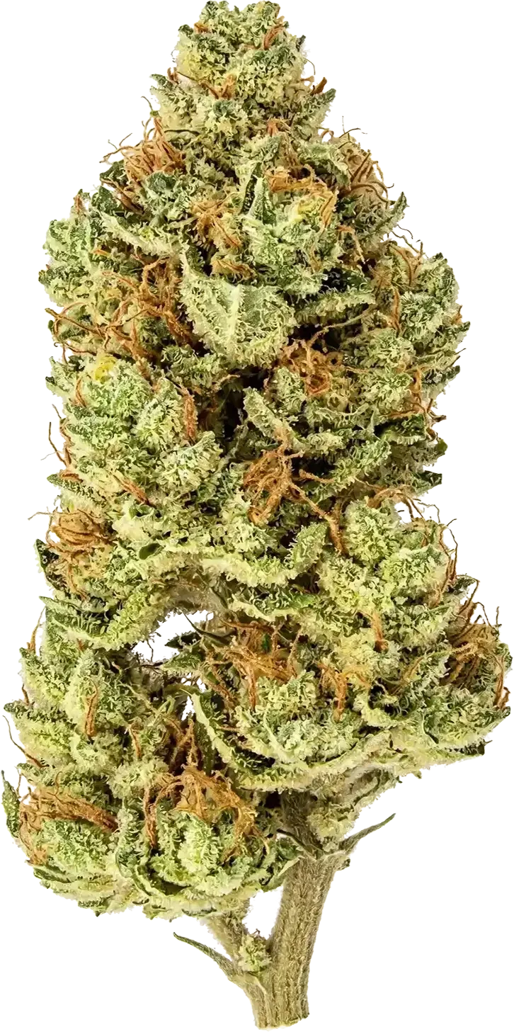 Fleur CBD Lemon Haze