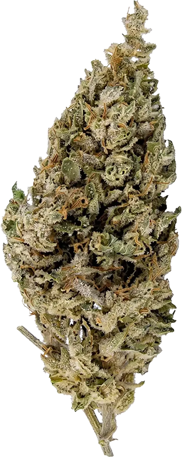 Fleur CBD Panakeia 0% THC