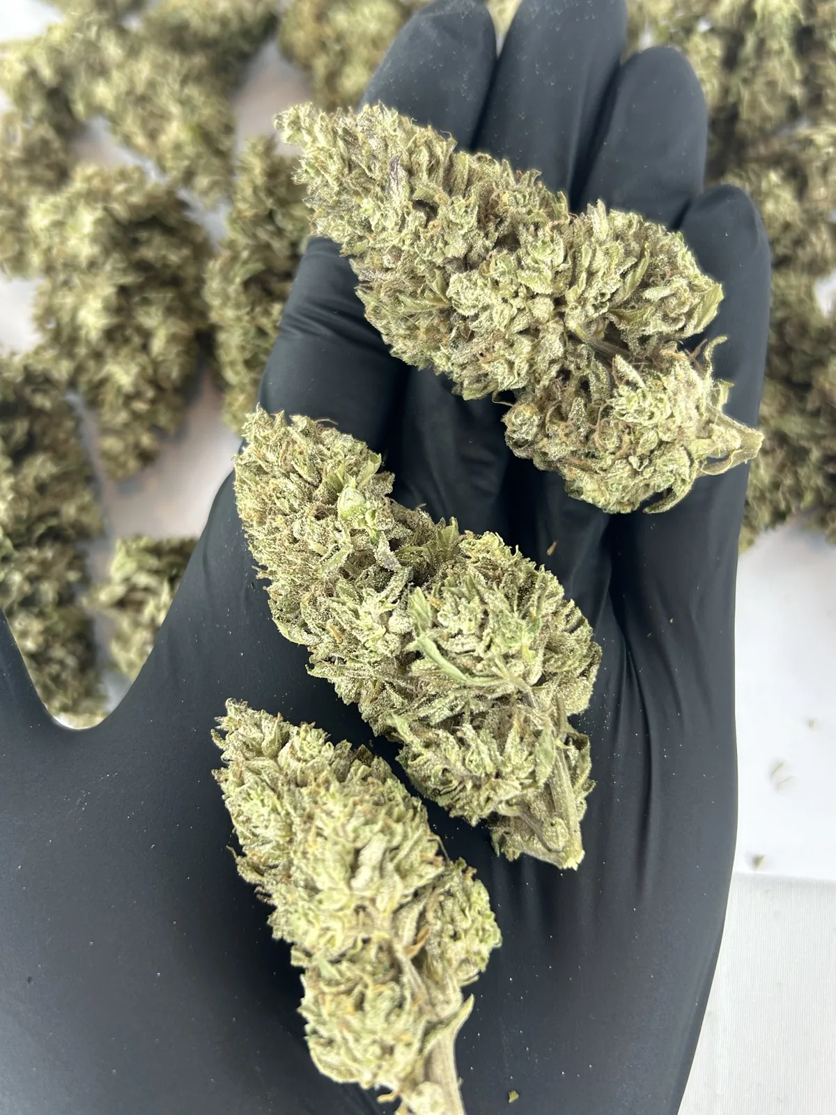 Fleur CBD Panakeia 0% THC vue 2