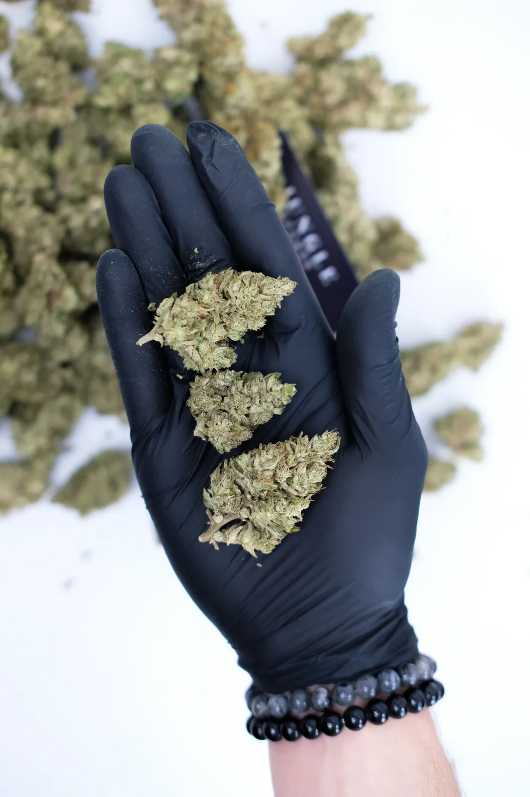 Fleur CBD Panakeia 0% THC vue 3
