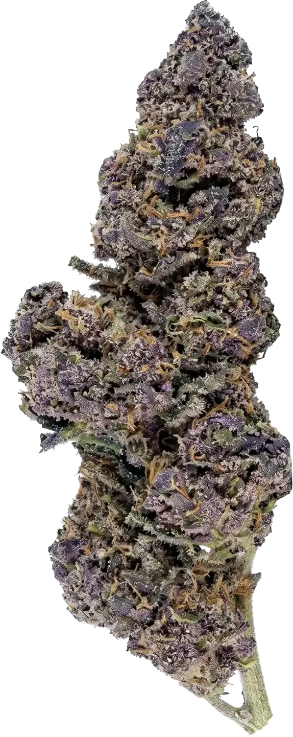 Fleur CBD Purple Haze