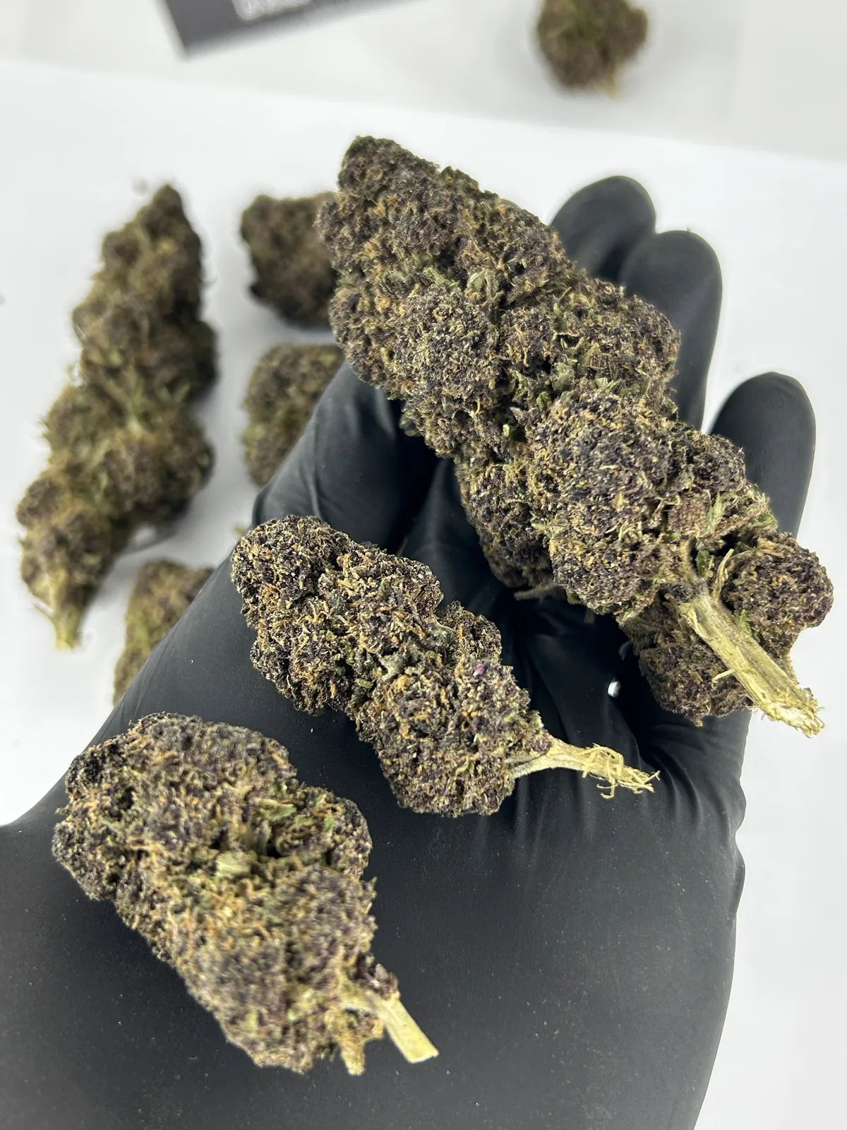 Fleur CBD Purple Haze vue 2