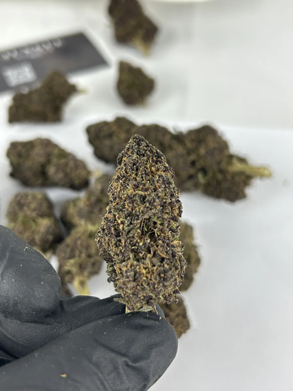 Fleur CBD Purple Haze vue 3