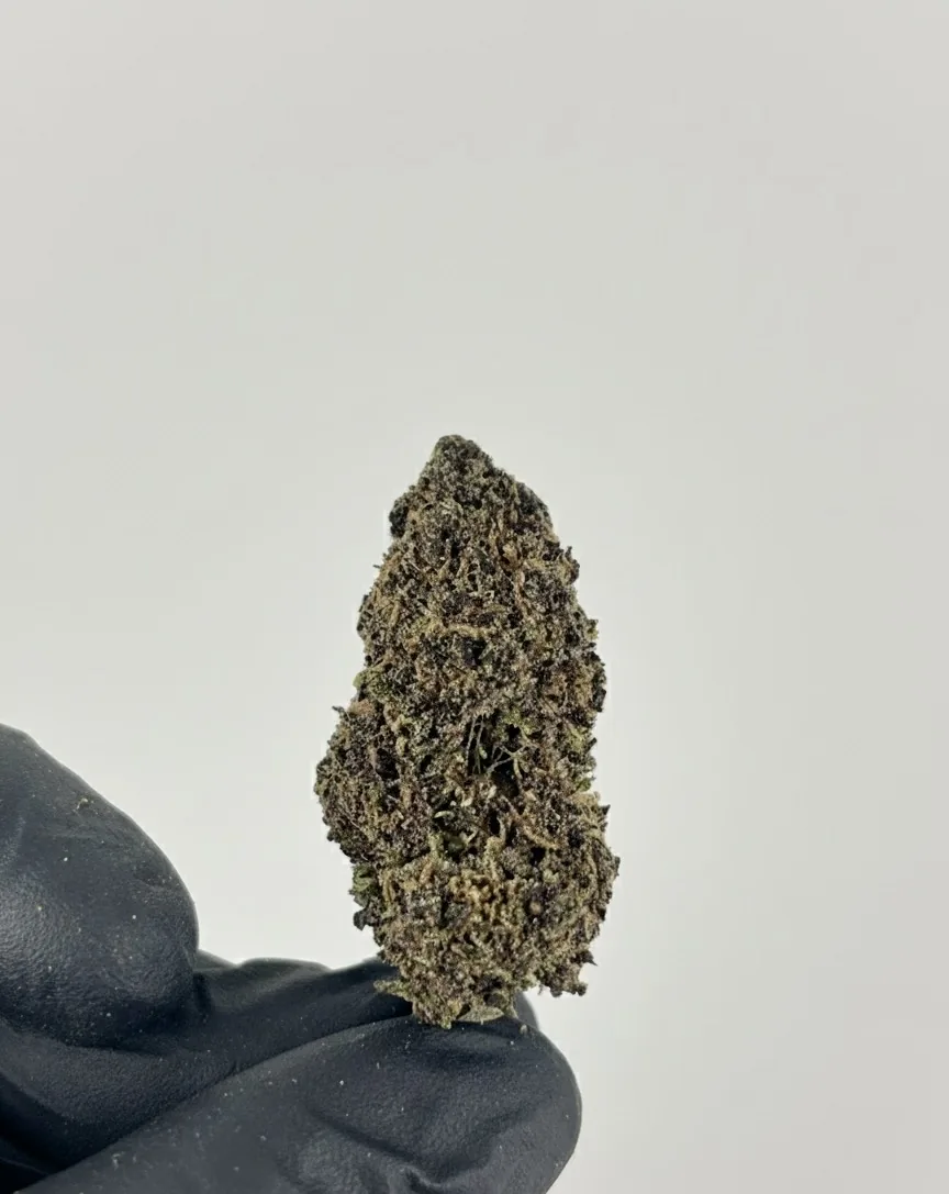 Fleur CBD Purple Haze vue 4