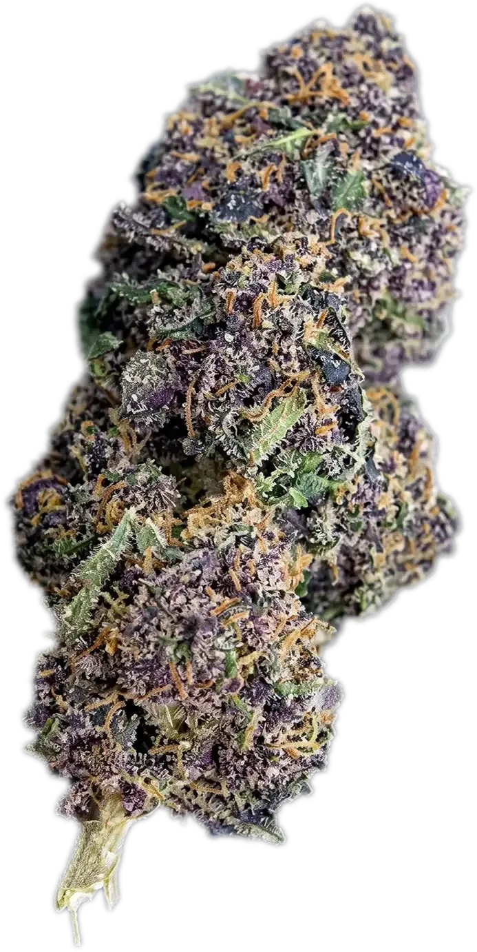 Fleur CBD Rainbow Sherbet