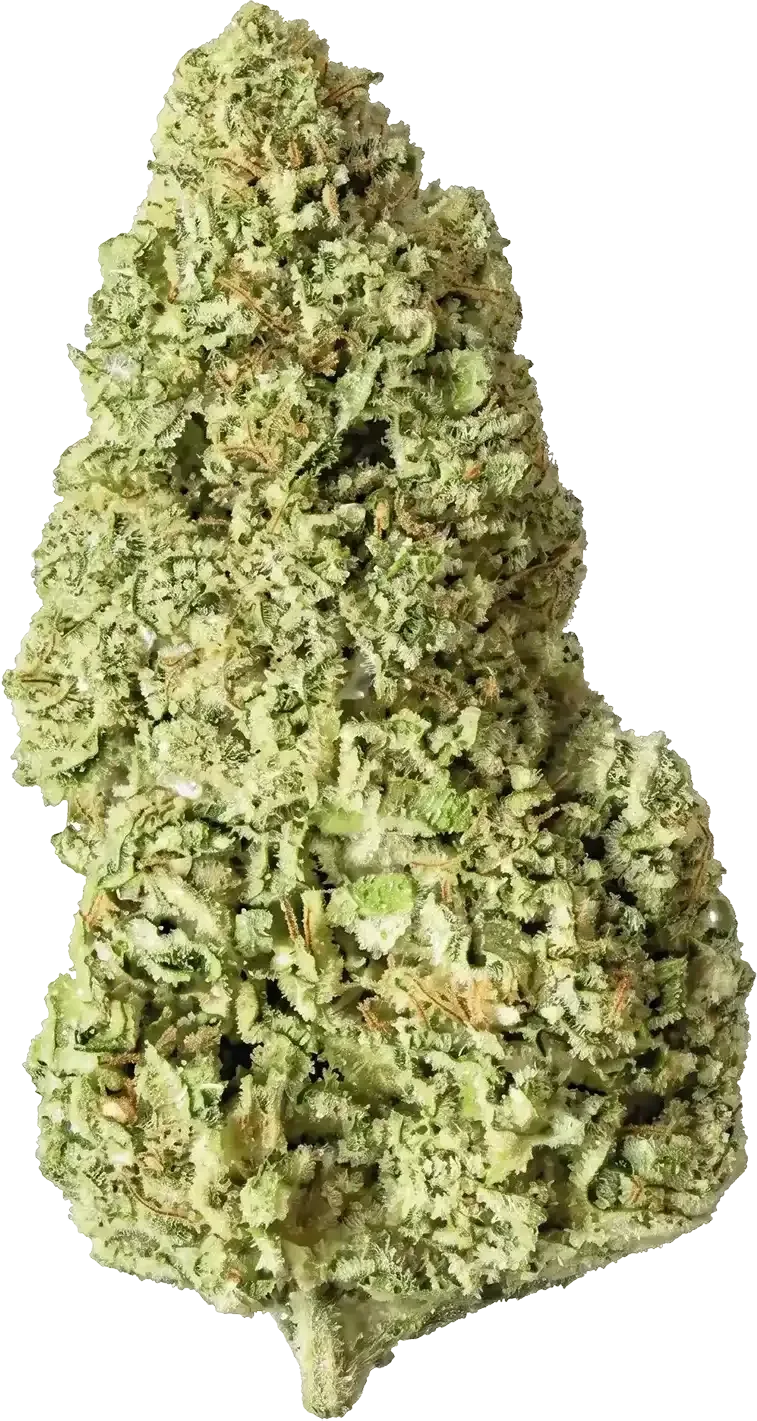 Fleur CBD Runtz