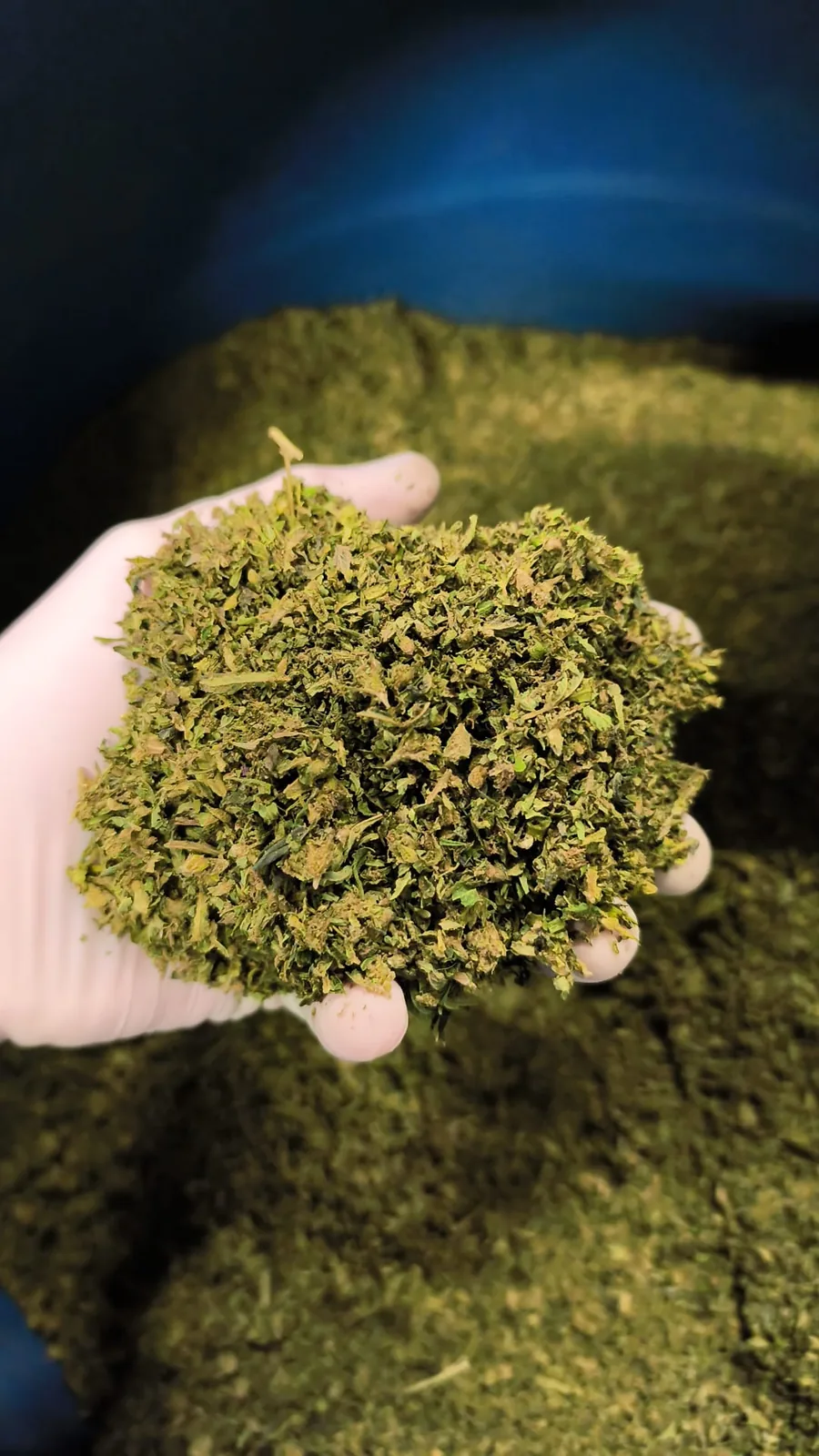 Trim Premium CBD vue 2