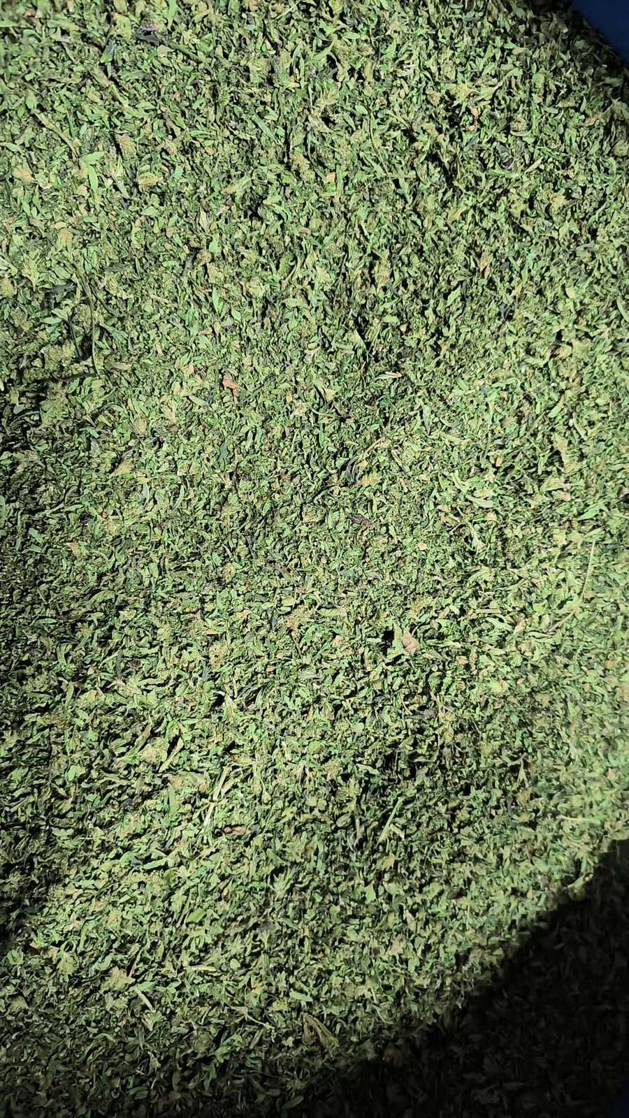 Trim Premium CBD vue 3