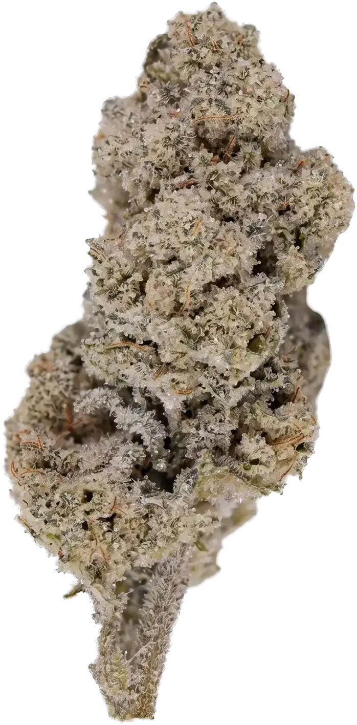 Fleur CBD White Diamond